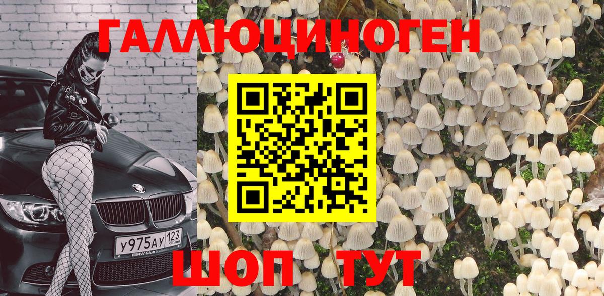 Кольчугино  Псилоцибиновые грибы прущие грибы  Вход с VPN 