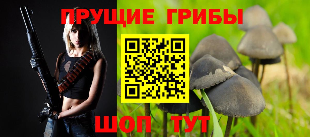 Псилоцибиновые грибы мухоморы Кольчугино